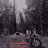 Neiit_Resonances